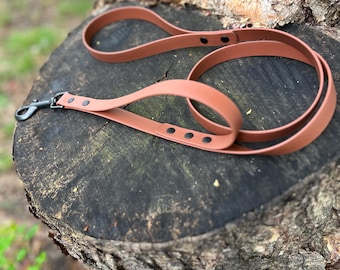 BioThane® Dog Leash: Waterproof Adventure Leash with Traffic Handle