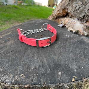 3/4&quot; Buckle Martingale BioThane Dog Collar | half check collar | water dog collars | beta dog collar |