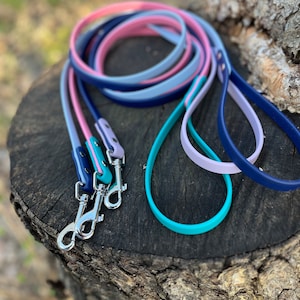 1/2&quot; Deluxe  BioThane Webbing Dog Leash |Multi Color | waterproof | stinkproof | adventure leash | dirt proof | summer leash