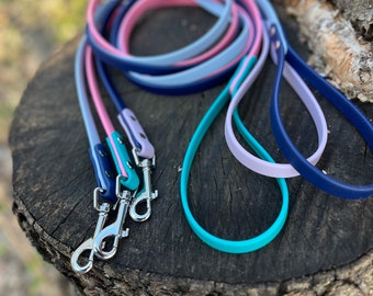 1/2" Two Tone BioThane Webbing Dog Leash |waterproof dog leash| stinkproof | adventure leash | dirt proof | summer leash