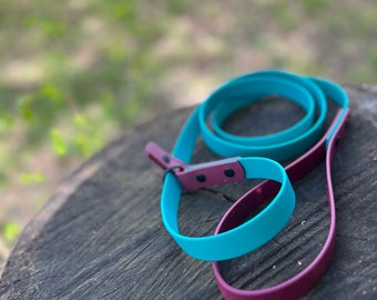 3/4" BioThane® Slip Dog Leash: Waterproof Multi Color