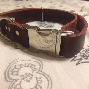 Custom Leather Dog Collar – Brass or Zinc Buckle, Adjustable