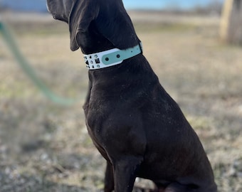 Bling BioThane Dog Collar | Waterproof, Stinkproof, Gemstone Collar
