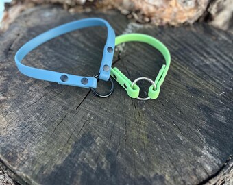 BioThane Tag Collar | House Collar | 1/2 inch wide | Made to hold tags