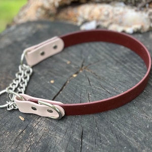 1&quot; Two color Martingale BioThane Dog Collar | half check collar | water dog collars | beta dog collar |