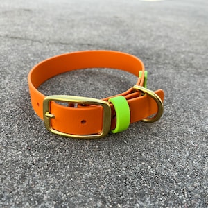 1&quot; BioThane®-hondenhalsband Messing hardware - waterdichte hondenhalsband. Tweekleurige kleurrijke halsband waterhalsbanden, bètahalsband
