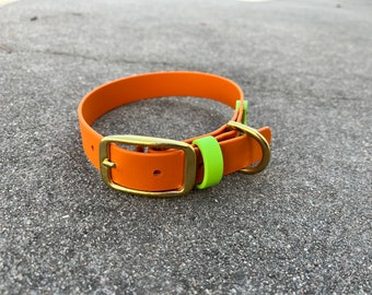 25 mm BioThane Hundehalsband: Wasserdichtes Halsband mit zweifarbigen Metallteilen und Messing-Hardware