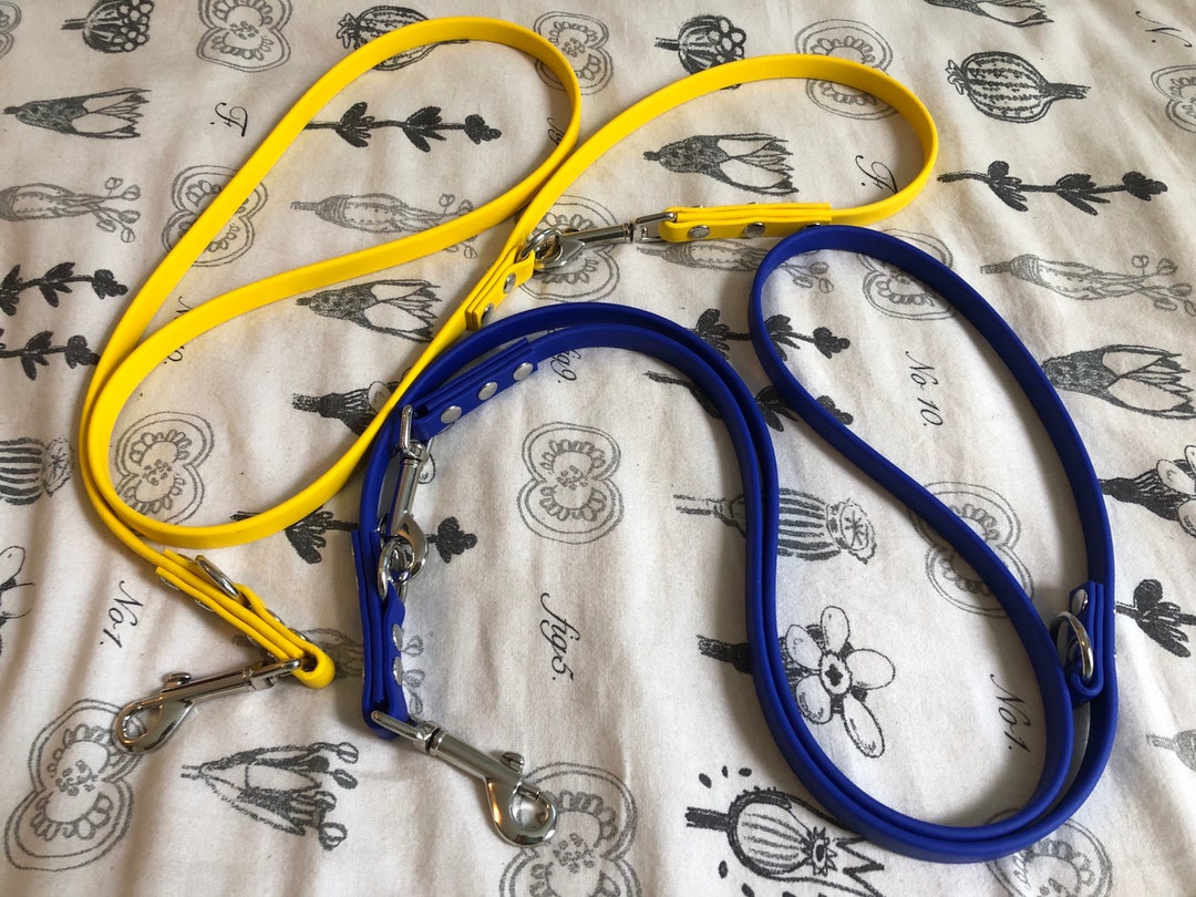 1/2 Biothane® Webbing Convertible Leash 1/2 Wide European Leash