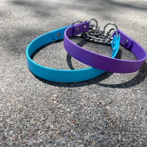 3/4&quot; Martingale BioThane Hundehalsband | wasserdichtes Hundehalsband | Half Check Halsband | Wasserhundehalsband |Beta Hundehalsband