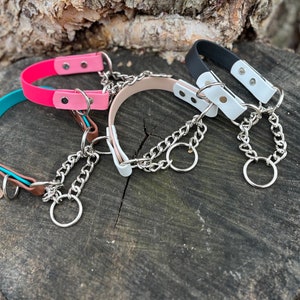 3/4&quot; zweifarbiges Martingale BioThane Hundehalsband | wasserdichtes Hundehalsband | Half Check Halsband | Wasserhalsband für Hunde