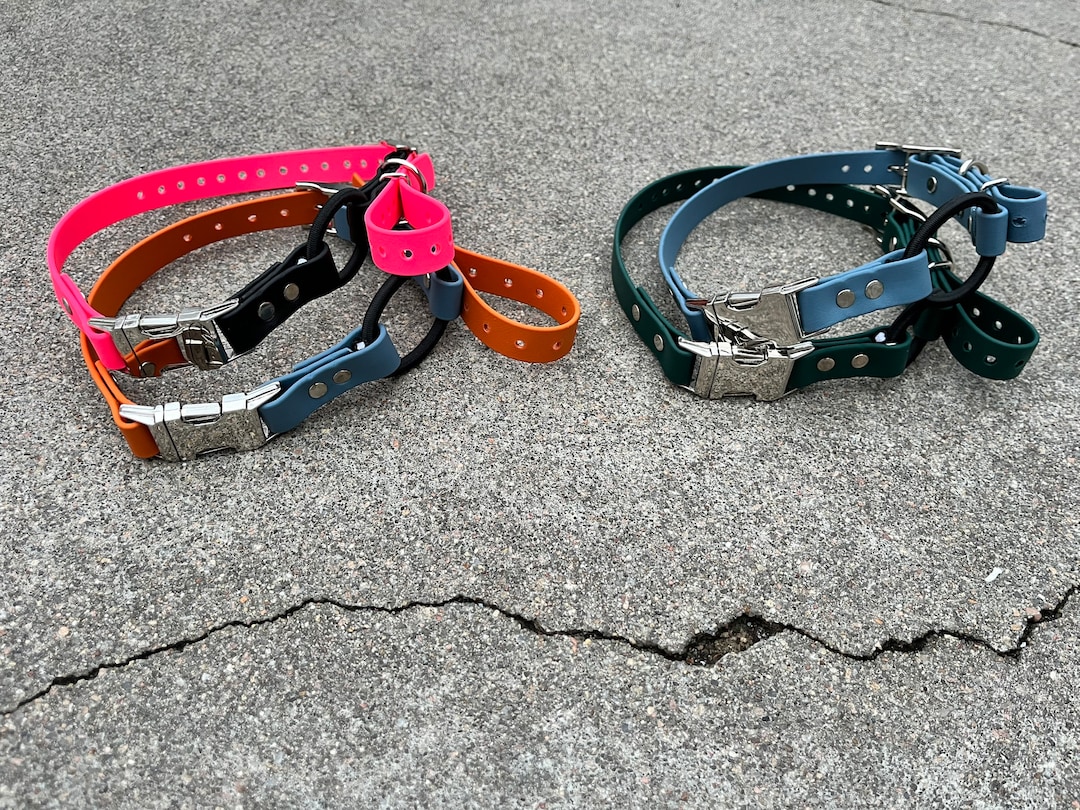 Bungee Quickrelease Ecollar Strap Biothane Two Tone Waterproof Dog