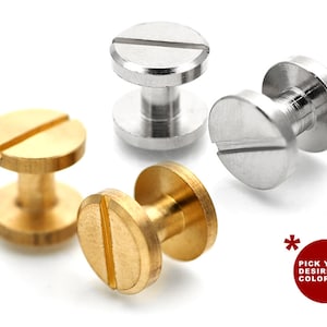 Puede incluir: Cuatro remaches de tornillo de metal, dos en latón y dos en plata. Los remaches tienen una parte superior plana con una sola ranura y un poste roscado.