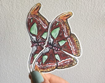 Atlas Moth Transparent Sticker
