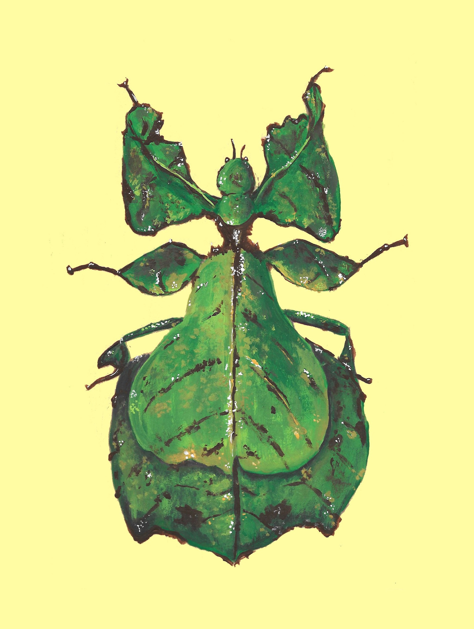 Leaf Bug Painting Print 5