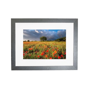 Norfolk Landschaft wilde Wiese Mohnblumenfeld gerahmtes Foto stürmischer Himmel