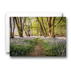Biglietto d'auguri Norfolk Bluebell Woodland