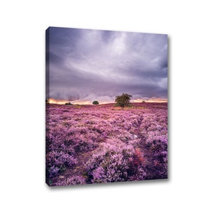 Norfolk Landscape Canvas Wall Art, Stormy Weather Sky Sunset, Wild Heather Roydon Common