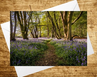 A5 Blank Birthday Greeting Card Norfolk Bluebell Woodland Forest Landscape
