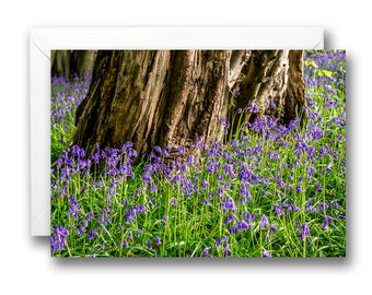 A5 Blank Birthday Greeting Card Norfolk Bluebell Woodland Forest Landscape