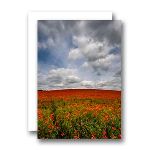 Wilde rote Mohnblumenfeld-Landschaftsszene Grußkarte