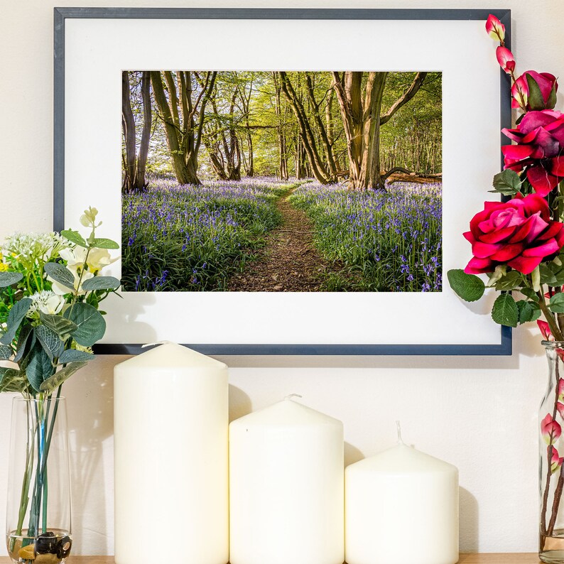 Nature Landscape Wall Art Framed Forest Nature Photography Etsy