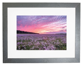 Holkham Beach Norfolk Coast Wild Lavender Coucher de soleil Photo encadrée