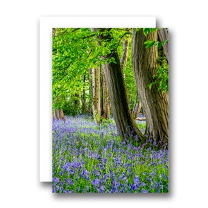 Biglietto di auguri di compleanno con fiori di Bluebell Norfolk Woodland