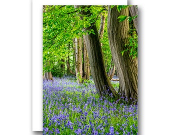 A5 Blank Birthday Greeting Card Norfolk Bluebell Woodland Landscape