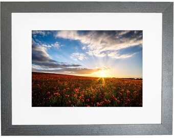 Norfolk Poppy Field Sunset Framed Photo