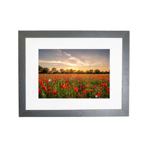 Norfolk Wild Poppy Field Sunset Landscape Framed Photo