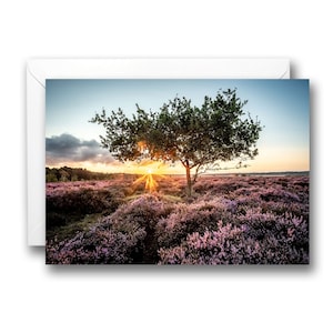Roydon Common Sunrise Wild Heather Norfolk Nature Reserve Birthday Card