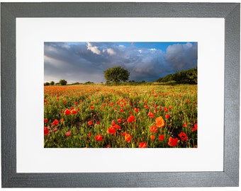 Norfolk Landscape Wild Meadow Poppy Field Framed Photo Stormy Sky