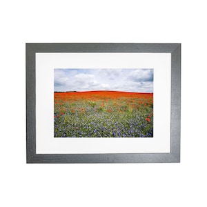 Wilde Wiese Mohnfeld gerahmtes Foto