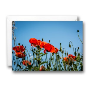 Wilde rote Mohnblume Blanko-Grußkarte