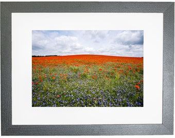 Wild Meadow Poppy Field Framed Photo