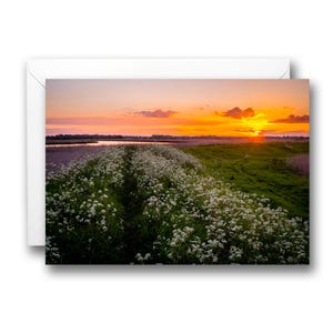 Cartolina d'auguri con paesaggio al tramonto di Norfolk Broads
