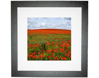 Duxford Cambridgeshire Poppy Field Landscape Square Framed Photo