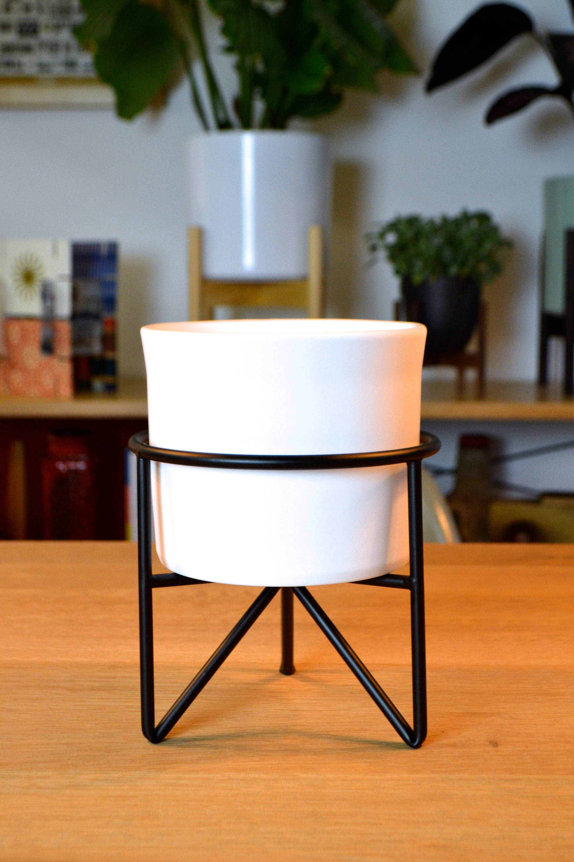 60 LOW Mid Century Modern Hairpin Leg Planter Black or Etsy