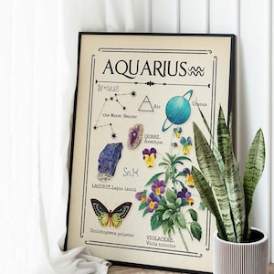 Art astrologique, impression du zodiaque verseau, art mystique céleste, cadeau pour un ami, signe astrologique, cadeau d'anniversaire
