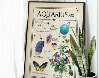 Wassermann Sternzeichen Druck, Vintage Astrologie Poster, himmlische botanische Wandkunst, Witchy Zimmer Dekor, Sternzeichen Geschenk, Wassermann Horoskop Kunst