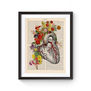 Heart Anatomy Print, Heart Anatomy Art, Surgery Art, Cardiology Gift, Medical Student Gift, Human Heart, Doctor Office Decor