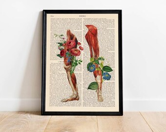 Benmuskeltryck kiropraktorposter kroppsbiologi fysioterapeut massage terapeut reflexologi kontorsinredning