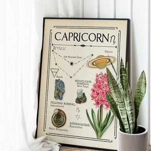 Stampa zodiacale Capricorno Regalo per amico Decorazione neutra Carta dei tarocchi Decorazione boho Astrologia Segno zodiacale Celeste Arte mistica Regalo per amico