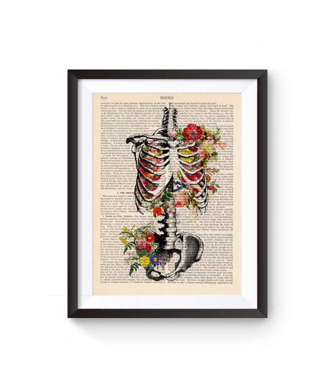 Anatomy Print, Medical Poster, Anatomical Illustration / Skeleton With ... Biology Diagrams