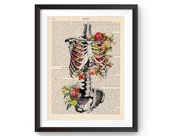 Impressão de anatomia, pôster médico, ilustração anatômica / esqueleto com impressão de flor / decoração de parede, arte decorativa, impressão de livro vintage