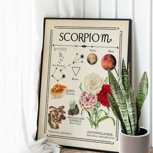 Zodiac Scorpio Print, Celestial Print, Astrology Art, Star Sign for her, Boho Decor, Mystical Art, Gift for friend, Birthday gift idea