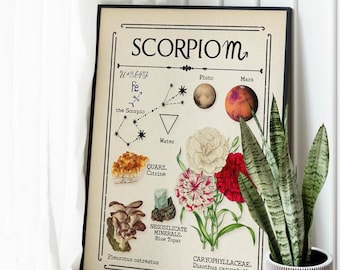 Zodiac Scorpio Print, Celestial Print, Astrology Art, Star Sign for her, Boho Decor, Mystical Art, Gift for friend, Birthday gift idea