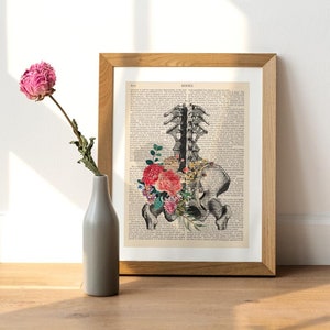 Pelvis Anatomy Print, Orthopedics, Doctor Office Decor, Orthopedic Gift, Anatomy Illustration, Chiropractor Art