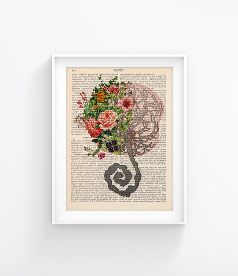Placenta Print, Umbilical Cord Illustration, Birth, Vintage Anatomy, Medical Print, Mother Gift Idea image 1