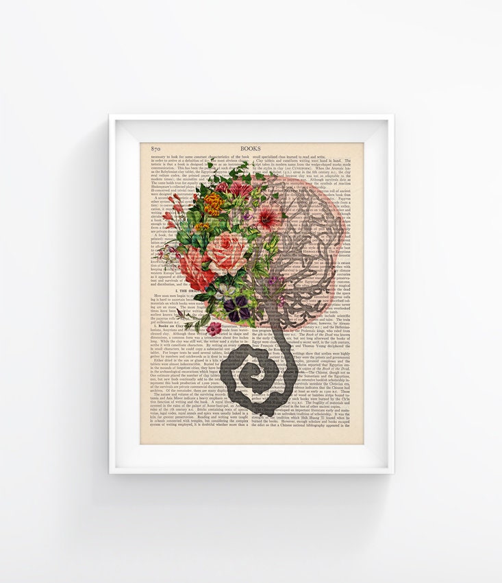 Placenta Print, Umbilical Cord Illustration, Birth, Vintage